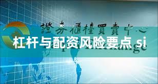 杠杆与配资风险要点 si
